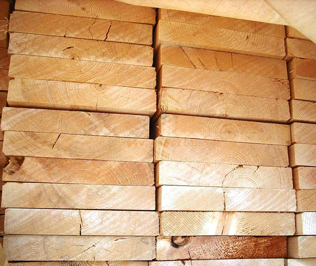 浦口智利辐射松方木