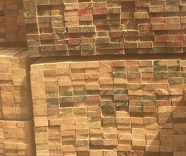 浦口新西兰进口松木